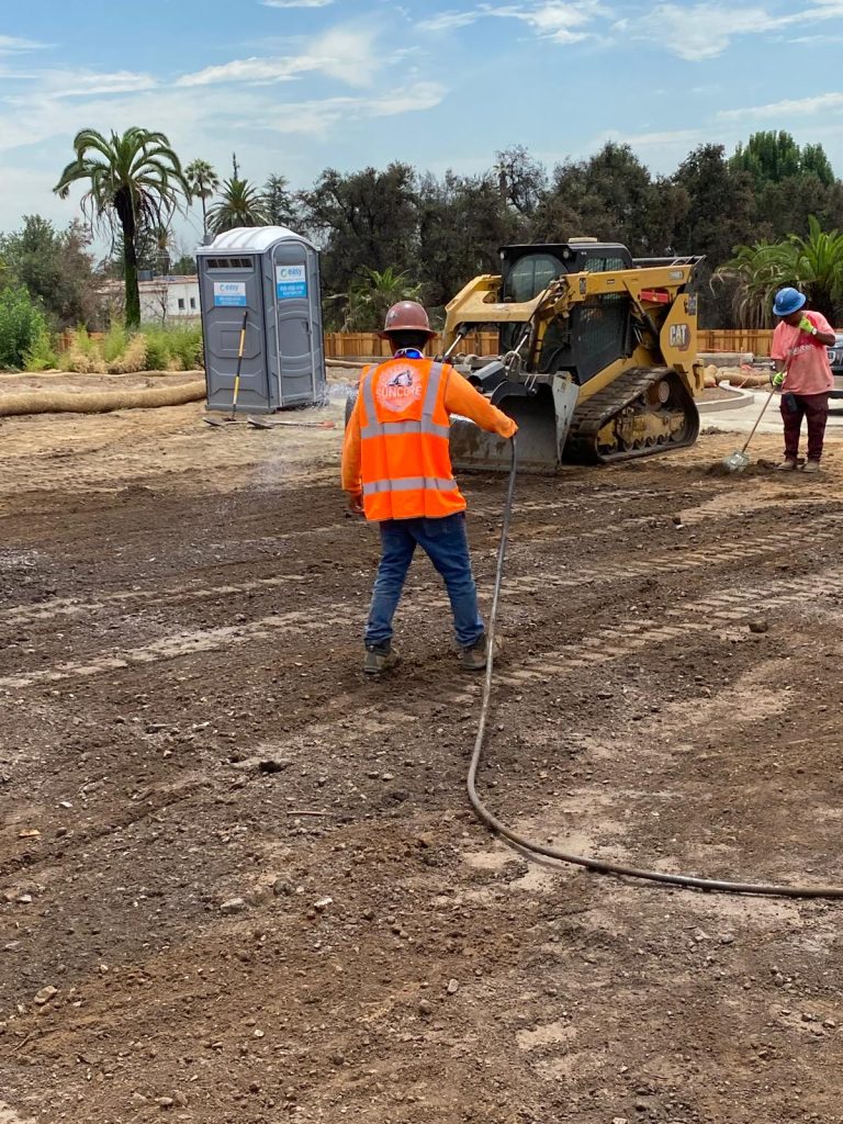 WhatsApp Image 2026-01-28 at 5.35.28 PM (1)